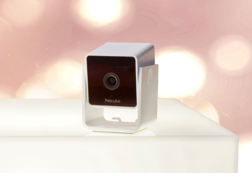 A white petcube pet camera on a white box