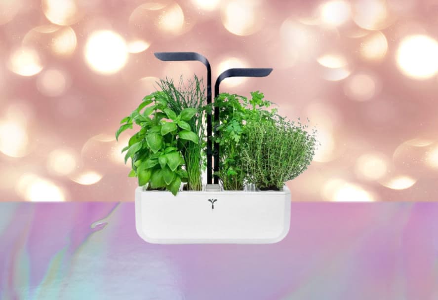 Asmart indoor garden plant pot on a sparkle backdrop