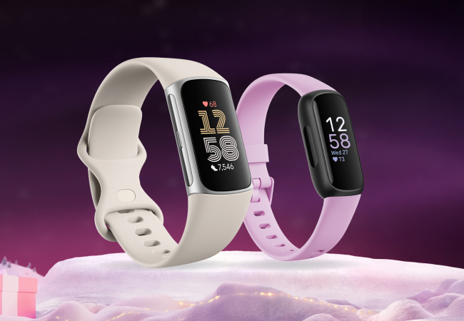 bf-accessories-sp-fitbit-650x450px