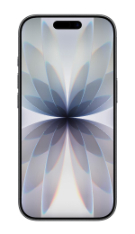 A black iPhone 17 with a wallpaper showing an abstract, symmetrical, floral pattern in cool gray and light blue colors.