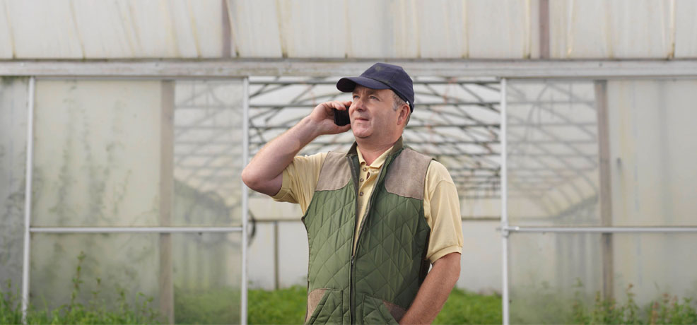 Person speaking on a mobile phone while surrounded by various plants in a greenhouse.