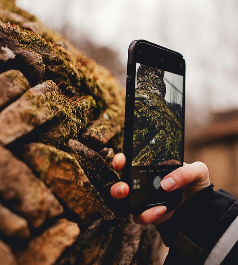 A person's hand holding a smartphone to take a picture of a mossy stone wall.